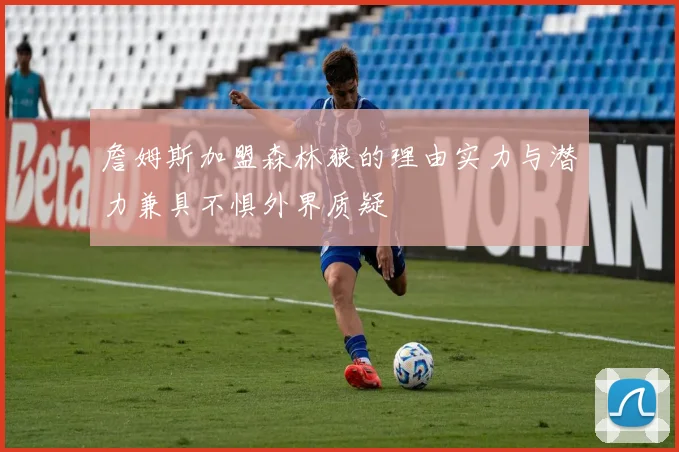 詹姆斯加盟森林狼的理由实力与潜力兼具不惧外界质疑